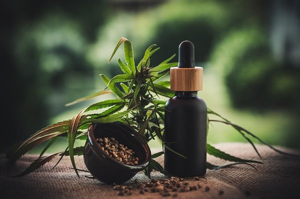 Découvrez les meilleures variétés de cannabidiol à Bordeaux !